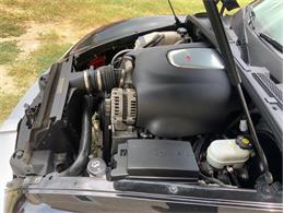 2005 Chevrolet SSR (CC-2097041) for sale in Fredericksburg, Texas