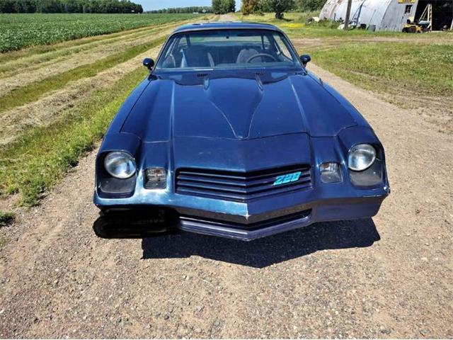 1980 Chevrolet Camaro (CC-2090705) for sale in Cadillac, Michigan