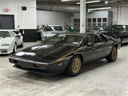 1979 Lotus Esprit (CC-2097052) for sale in Huntington Station, New York