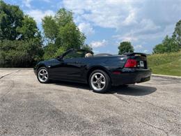 2003 Ford GT (CC-2097111) for sale in Solon, Ohio