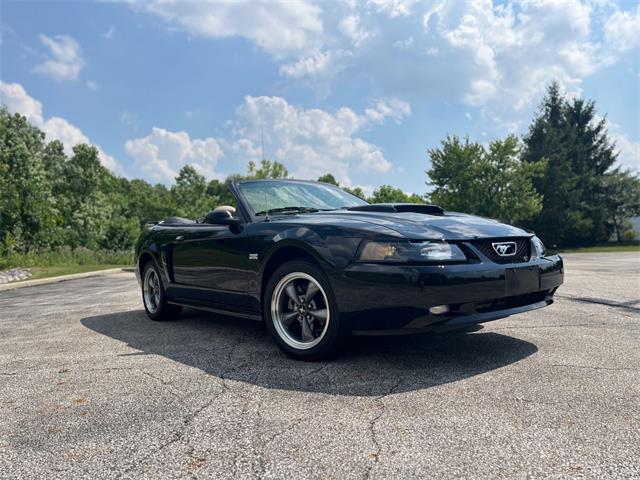2003 Ford GT (CC-2097111) for sale in Solon, Ohio