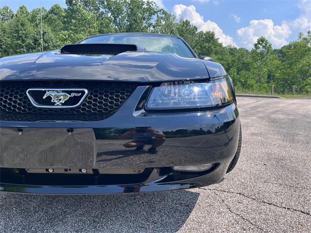 2003 Ford GT (CC-2097111) for sale in Solon, Ohio