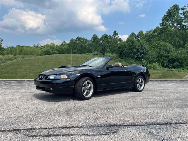 2003 Ford GT (CC-2097111) for sale in Solon, Ohio