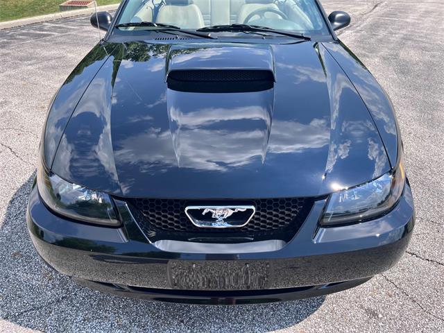 2003 Ford GT (CC-2097111) for sale in Solon, Ohio