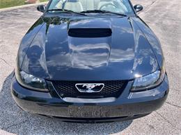 2003 Ford GT (CC-2097111) for sale in Solon, Ohio
