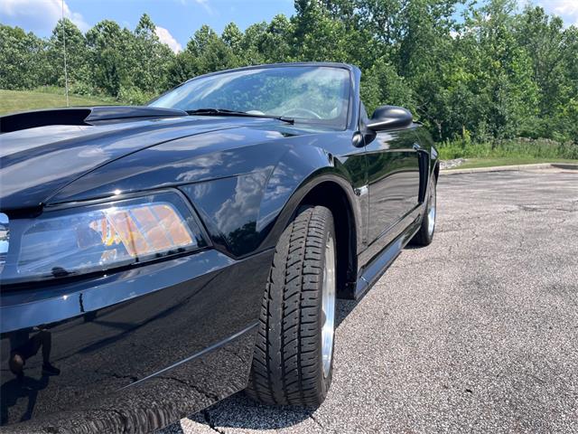 2003 Ford GT (CC-2097111) for sale in Solon, Ohio