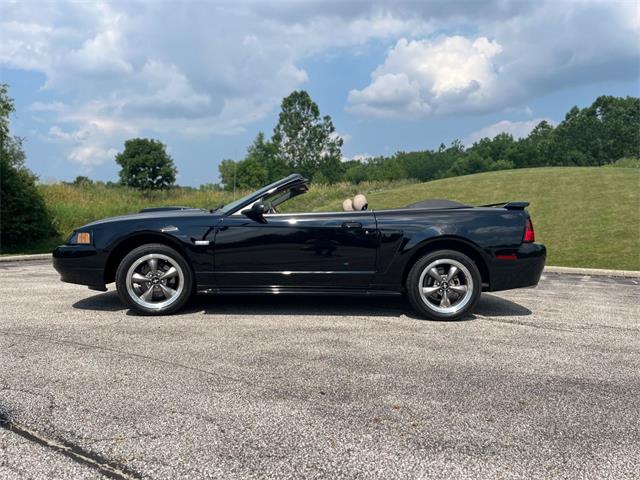 2003 Ford GT (CC-2097111) for sale in Solon, Ohio
