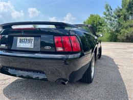2003 Ford GT (CC-2097111) for sale in Solon, Ohio