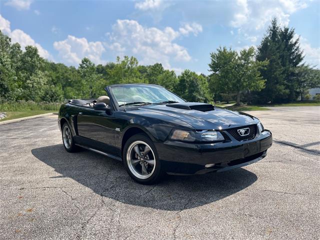 2003 Ford GT (CC-2097111) for sale in Solon, Ohio