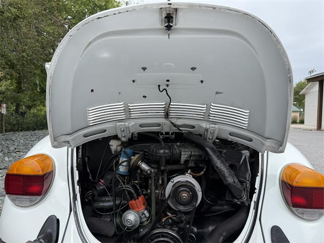 1977 Volkswagen Super Beetle (CC-2097148) for sale in Grass Valley, California