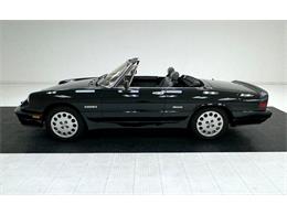 1988 Alfa Romeo Spider (CC-2097158) for sale in Morgantown, Pennsylvania