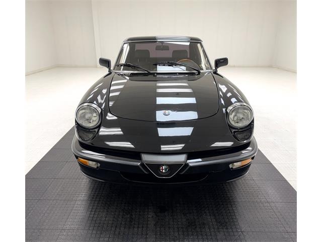1988 Alfa Romeo Spider (CC-2097158) for sale in Morgantown, Pennsylvania