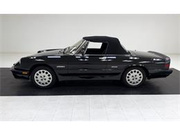 1988 Alfa Romeo Spider (CC-2097158) for sale in Morgantown, Pennsylvania