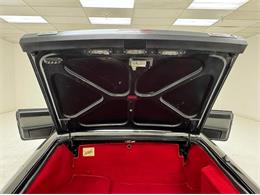 1988 Alfa Romeo Spider (CC-2097158) for sale in Morgantown, Pennsylvania