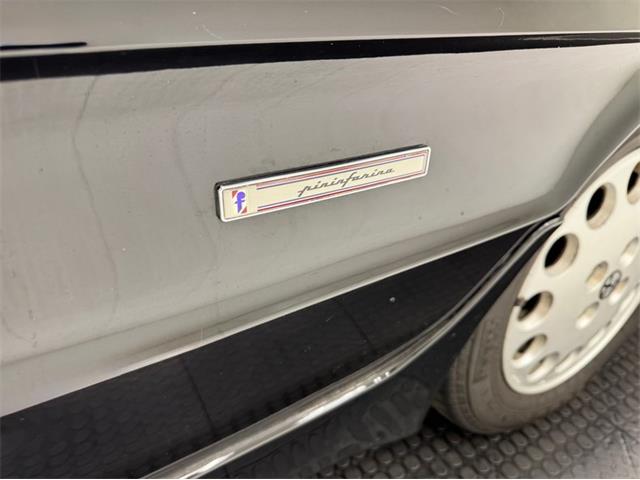 1988 Alfa Romeo Spider (CC-2097158) for sale in Morgantown, Pennsylvania