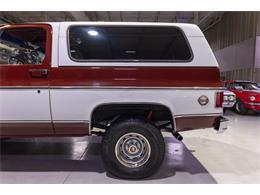 1976 Chevrolet Blazer (CC-2097225) for sale in Rogers, Minnesota