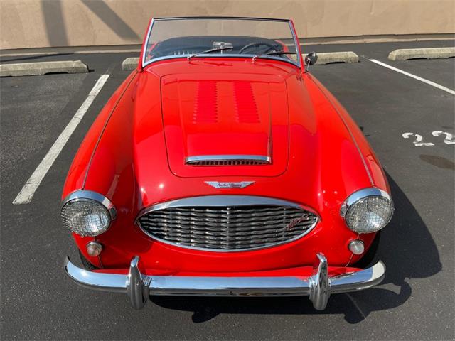 1959 Austin-Healey 100-6 (CC-2090723) for sale in Astoria, New York