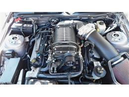 2007 Ford Mustang (CC-2097240) for sale in Concord, North Carolina