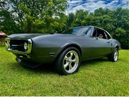 1967 Pontiac Firebird (CC-2097251) for sale in Cadillac, Michigan