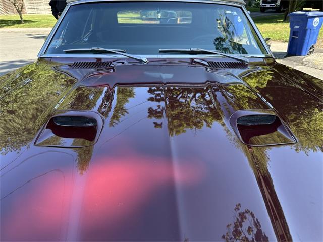 1967 Pontiac Firebird (CC-2097252) for sale in Hingham, Massachusetts