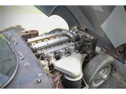 1966 Jaguar E-Type (CC-2097287) for sale in Saratoga Springs, New York