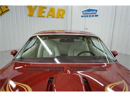 1976 Pontiac Firebird Trans Am (CC-2090073) for sale in Homer City, Pennsylvania