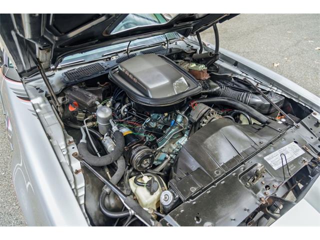 1979 Pontiac Firebird Trans Am (CC-2097310) for sale in Laguna Beach, California