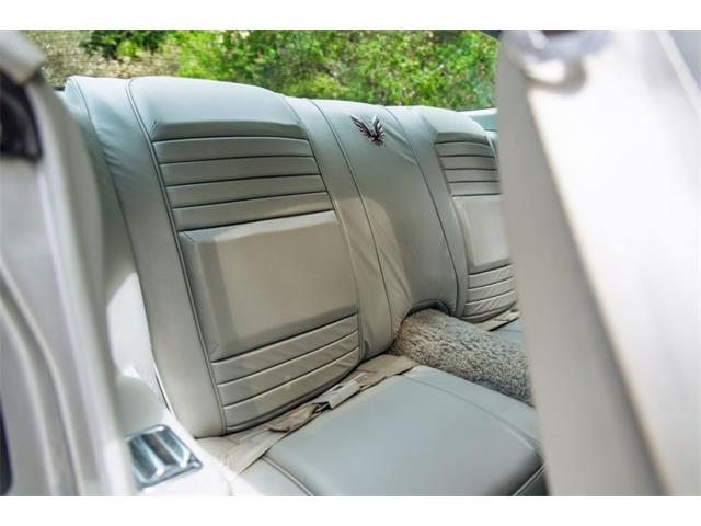 1979 Pontiac Firebird Trans Am (CC-2097310) for sale in Laguna Beach, California
