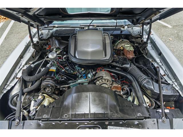 1979 Pontiac Firebird Trans Am (CC-2097310) for sale in Laguna Beach, California