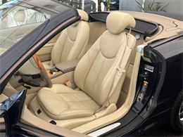 2005 Mercedes-Benz SL-Class (CC-2097311) for sale in Los Angeles, California