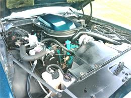 1979 Pontiac Firebird Trans Am (CC-2097359) for sale in Greenville, North Carolina