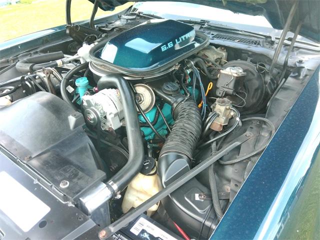 1979 Pontiac Firebird Trans Am (CC-2097359) for sale in Greenville, North Carolina