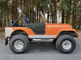 1981 Jeep CJ5 (CC-2090736) for sale in Reno, Nevada