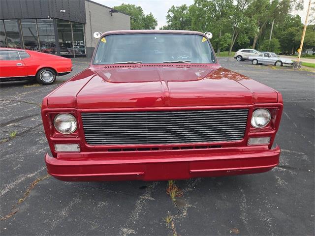 1976 Chevrolet C/K (CC-2097369) for sale in St. Charles, Illinois