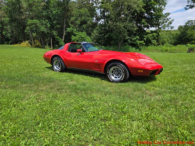 1979 Chevrolet Corvette (CC-2097387) for sale in MARTINSBURG, Pennsylvania
