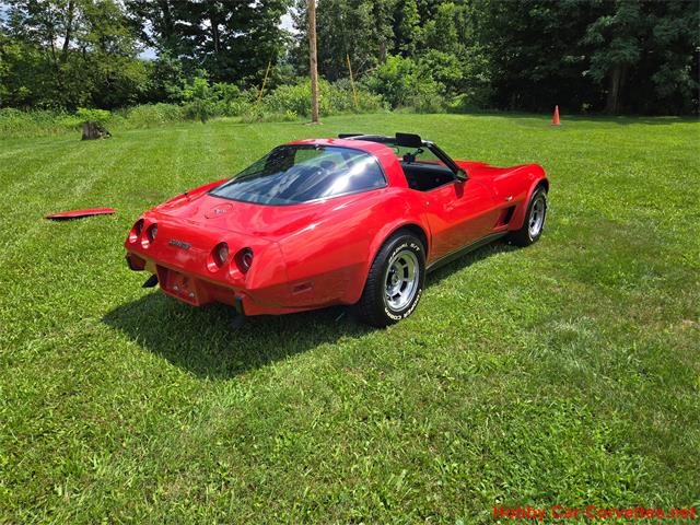 1979 Chevrolet Corvette (CC-2097387) for sale in MARTINSBURG, Pennsylvania