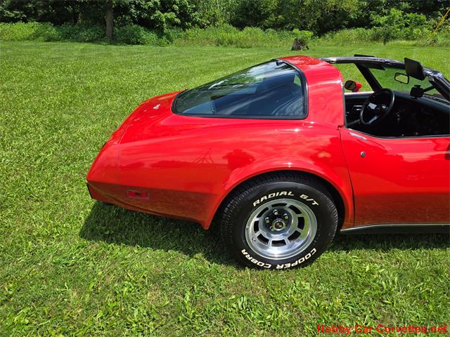 1979 Chevrolet Corvette (CC-2097387) for sale in MARTINSBURG, Pennsylvania