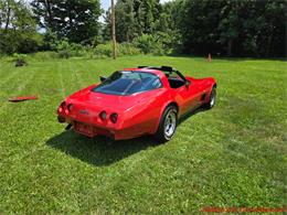 1979 Chevrolet Corvette (CC-2097387) for sale in MARTINSBURG, Pennsylvania