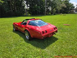 1979 Chevrolet Corvette (CC-2097387) for sale in MARTINSBURG, Pennsylvania