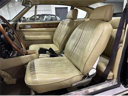 1978 Aston Martin V8 (CC-2097513) for sale in Huntington Station, New York