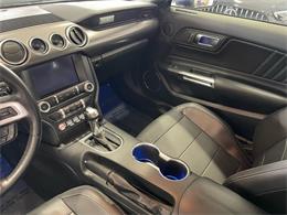 2019 Ford Mustang (CC-2090753) for sale in Jacksonville, Florida