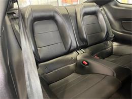 2019 Ford Mustang (CC-2090753) for sale in Jacksonville, Florida
