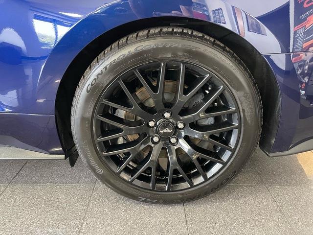 2019 Ford Mustang (CC-2090753) for sale in Jacksonville, Florida