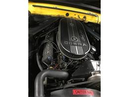1969 Ford Mustang (CC-2097603) for sale in Harpers Ferry, West Virginia