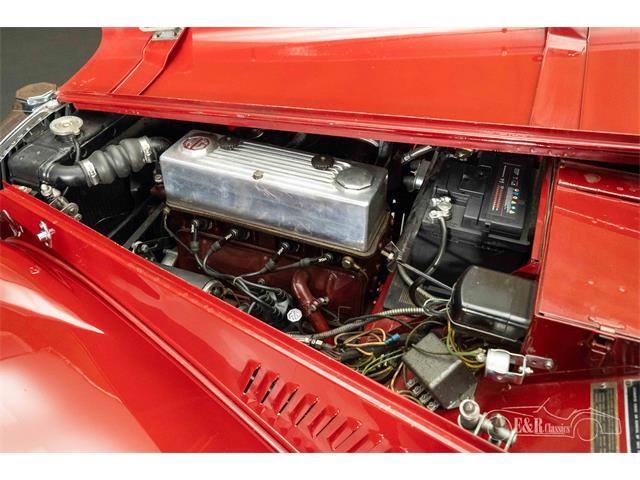 1954 MG TF (CC-2097653) for sale in Waalwijk, Noord Brabant