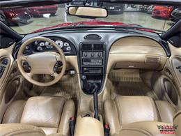 1997 Ford Mustang SVT Cobra (CC-2097674) for sale in Glen Ellyn, Illinois