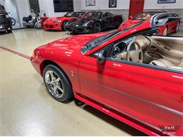 1997 Ford Mustang SVT Cobra (CC-2097674) for sale in Glen Ellyn, Illinois