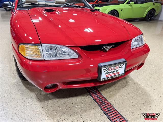 1997 Ford Mustang SVT Cobra (CC-2097674) for sale in Glen Ellyn, Illinois
