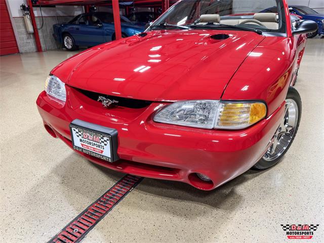 1997 Ford Mustang SVT Cobra (CC-2097674) for sale in Glen Ellyn, Illinois