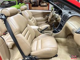 1997 Ford Mustang SVT Cobra (CC-2097674) for sale in Glen Ellyn, Illinois